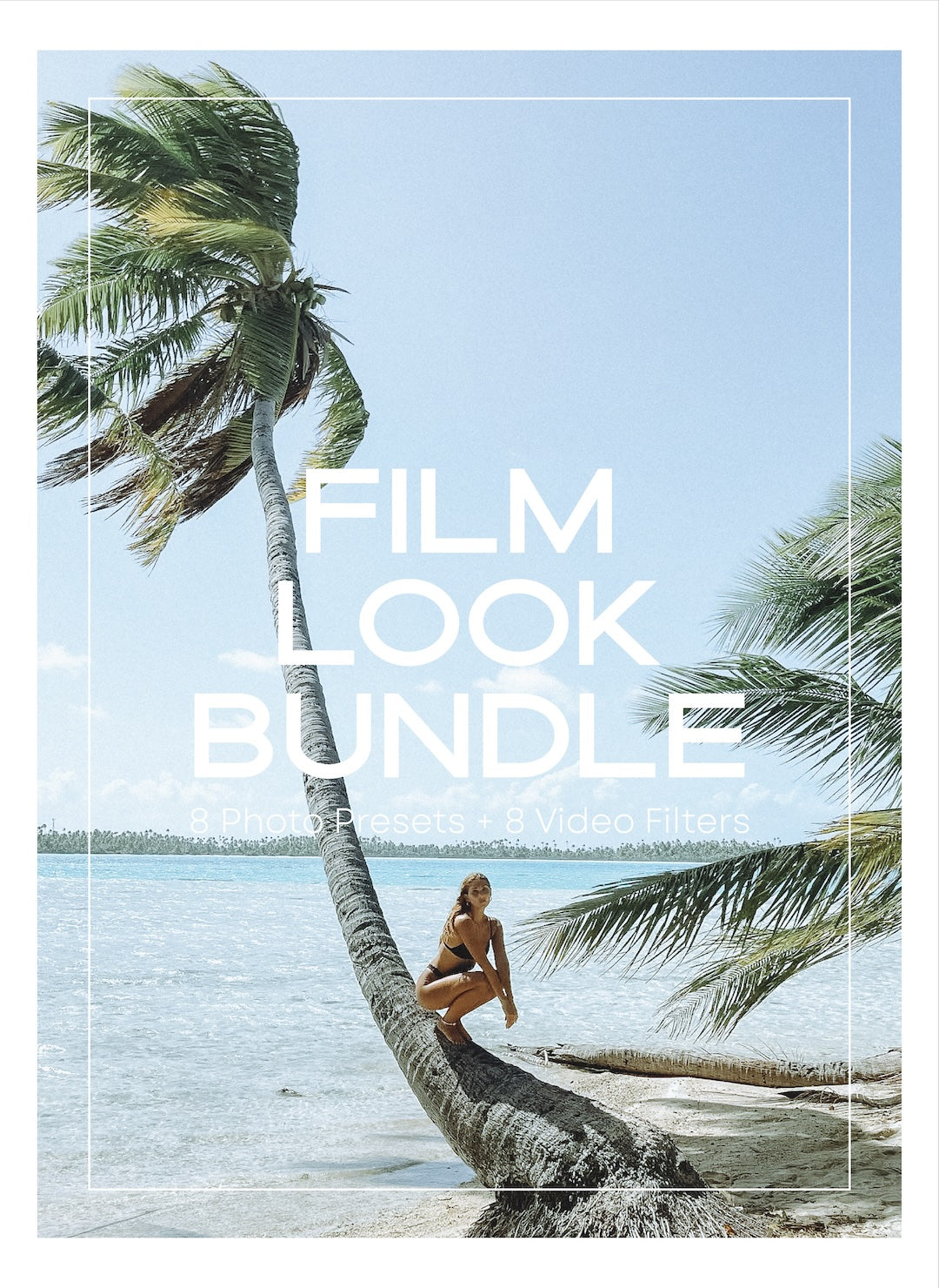 FILM LOOK Bundle (Presets + Video Filters)